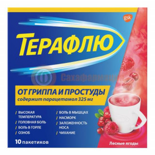 Терафлю порошок для приготовления раствора для приема внутрь 11,5г №10 лесные ягоды